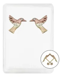Aretes Broquel Oro 10k Colibrí Zirconia Transparente - Imagen 1