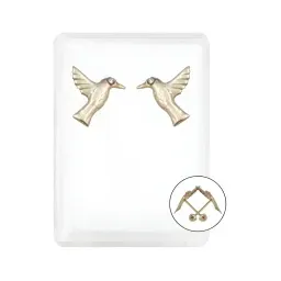 Aretes Broquel Colibrí Oro 10k con Zirconia Transparente - Imagen 1
