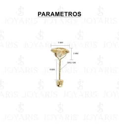Aretes Broquel Oro 10k Estrella Diamantada con Zirconia - Imagen 2