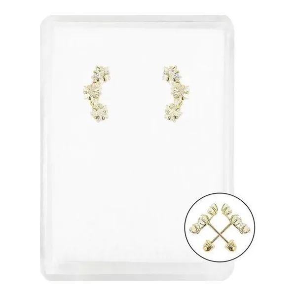 Aretes de oro 10k dorado zirconia broquel 3 estrellas con broche bola — Joyaris