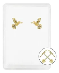 Aretes Broquel Oro 10k Colibrí Liso Pequeño para Mujer - Imagen 1