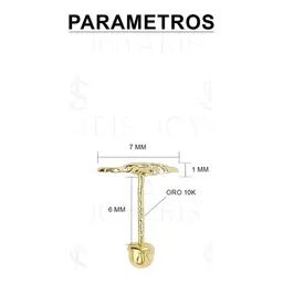 Aretes Broquel Oro 10k Colibrí Liso Pequeño para Mujer - Imagen 2
