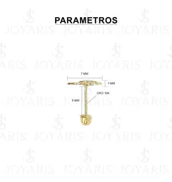 Aretes Broquel Oro 10k Colibrí Liso Pequeño para Mujer - Imagen 2