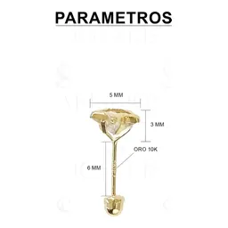 Aretes Broquel Oro 10k Estrella Diamantada con Zirconia - Imagen 2