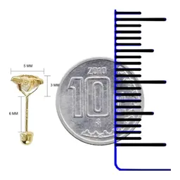 Aretes Broquel Oro 10k Estrella Diamantada con Zirconia - Imagen 3