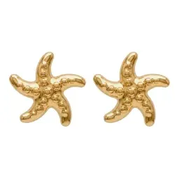 Broqueles Estrella de Mar Oro 10k 6 mm con Broche a Rosca - Imagen 1