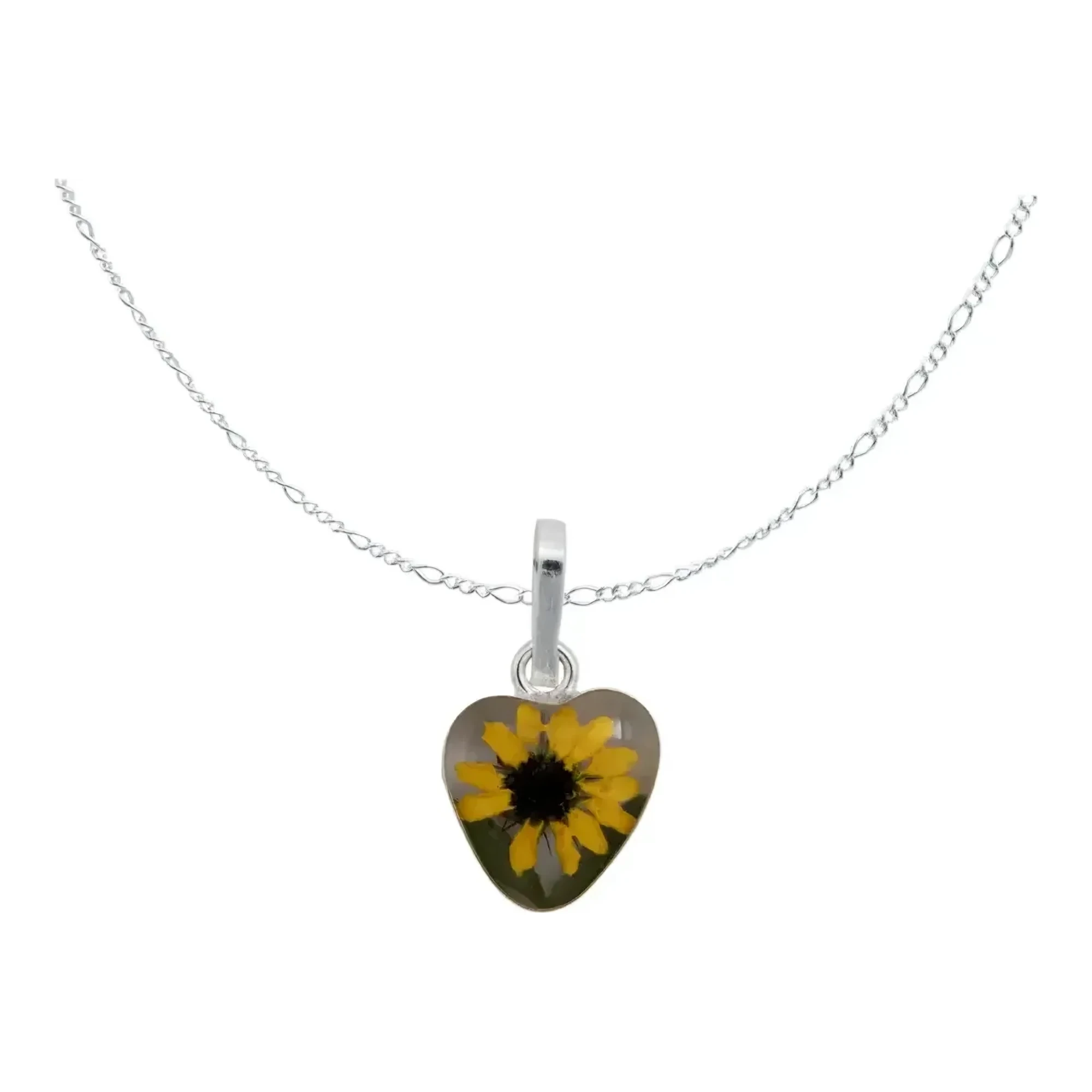 Dije corazón con girasol natural encapsulado en resina transparente y cadena Figaro de 50 cm en plata .925 nacional pulida