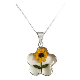 Collar Plata 925 con Dije Girasol Natural Encapsulado - Imagen 1
