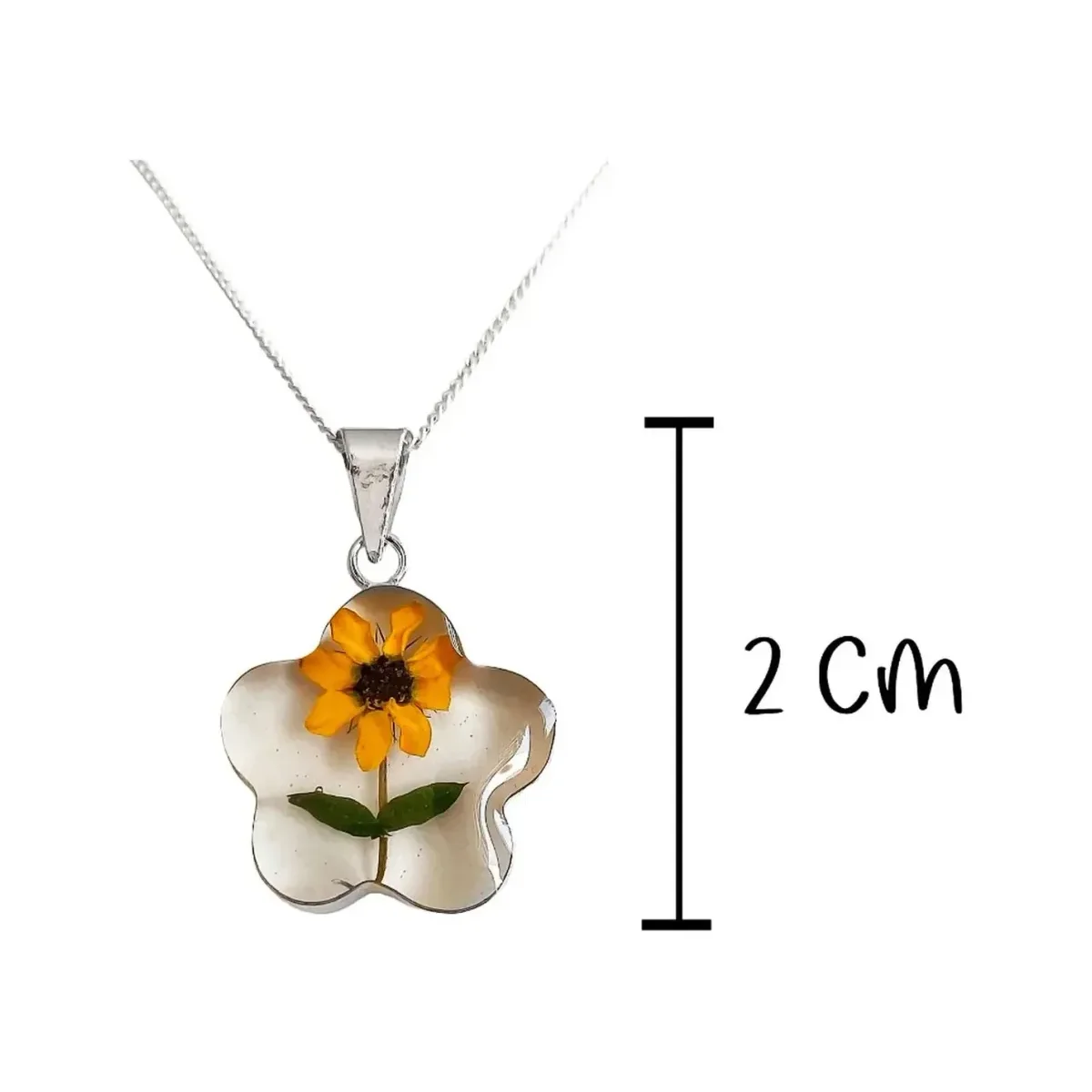 Collar Plata 925 con Dije Girasol Natural Encapsulado - Imagen 2