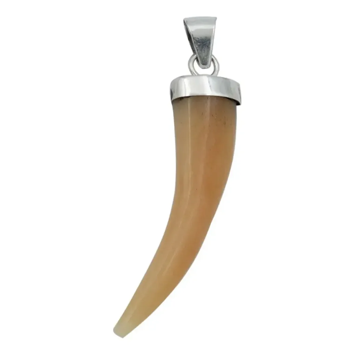 Dije Colmillo Plata 925 con Piedra Natural Naranja para Hombre - Joyaris joyería fina mexicana