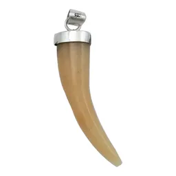 Dije Plata 925 Colmillo con Piedra Natural Naranja para Hombre - Imagen 2