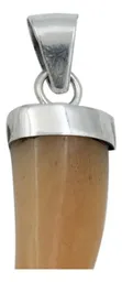 Dije Plata 925 Colmillo con Piedra Natural Naranja para Hombre - Imagen 4