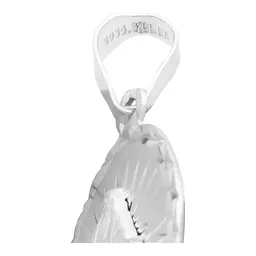 Dije Virgen Milagrosa Oval Plata 925 con Estrella Diamantada - Imagen 4